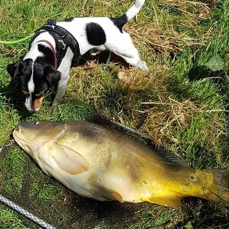 La Semondiere Holiday home