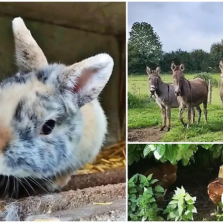 Holiday home La Semondiere