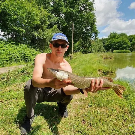 La Semondiere Holiday home *