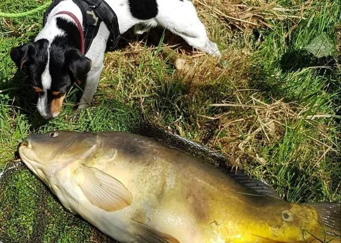 La Semondiere 度假居