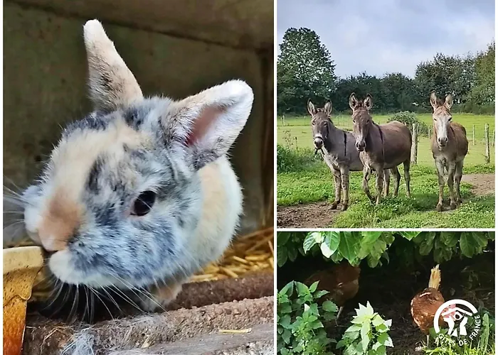 度假居 La Semondiere