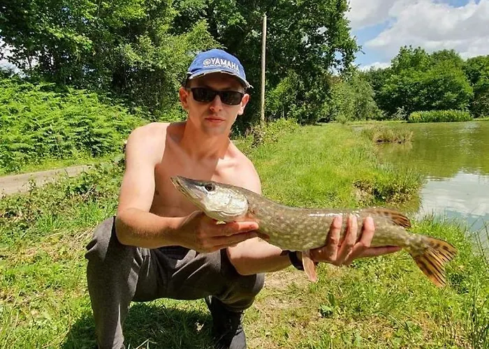 La Semondiere 度假居 *